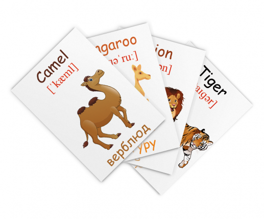 Cartonașe educative Animale sălbatice image 2