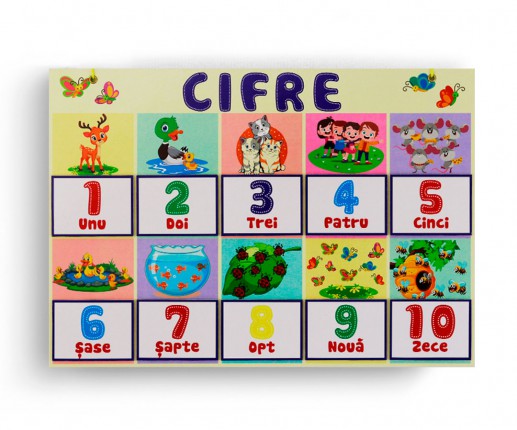 Set panou Colori image 4