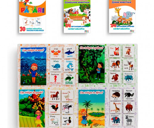 Set Animale