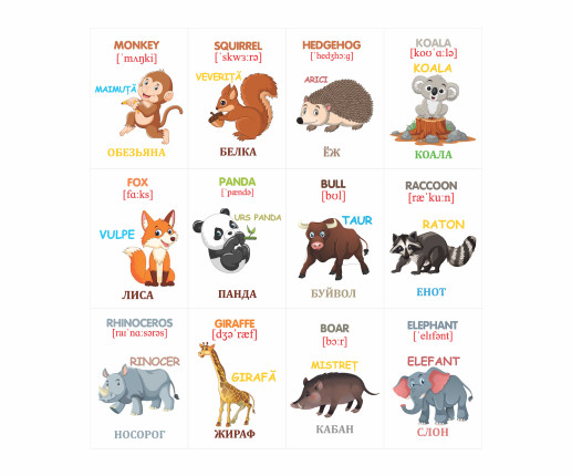 Cartonașe educative Animale sălbatice image 4
