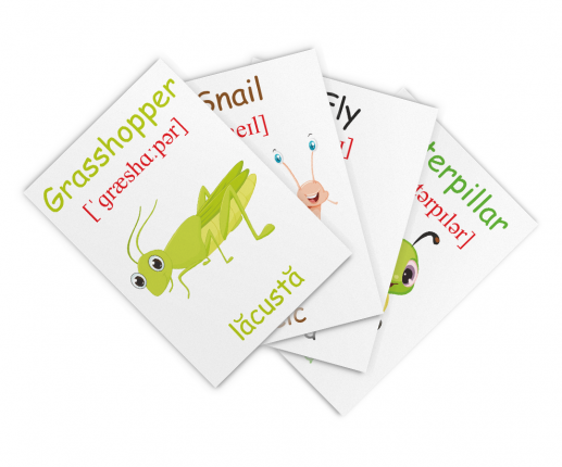 Cartonașe educative Insecte și reptile image 2