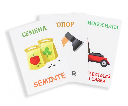 Cartonașe educative În grădină image 3