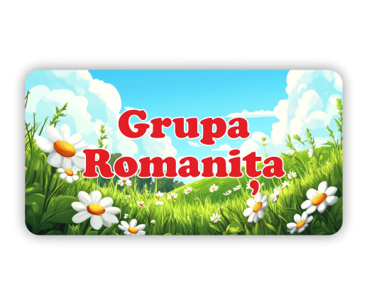Placuță pentru ușă - Romaniță 2