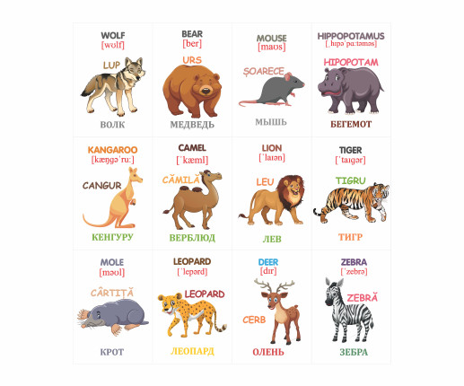 Cartonașe educative Animale sălbatice image 3