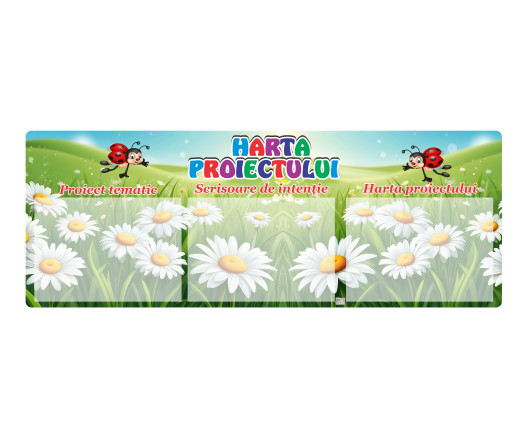 Harta Proiectului - Buburuză 2