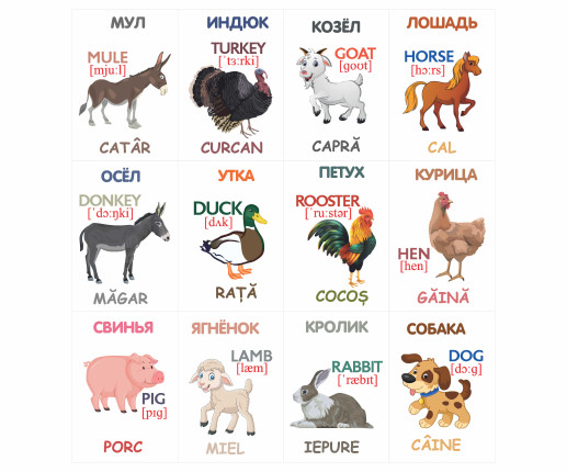 Oбразовательные карточки Домашние животные image 5
