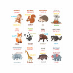 Cartonașe educative Animale sălbatice thumb-image 4