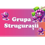 Placuță pentru ușă - Strugurel thumb-image 1