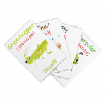 Cartonașe educative Insecte și reptile thumb-image 2