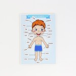 Части тела — мальчик thumb-image 3