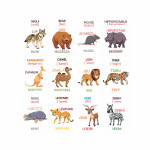 Cartonașe educative Animale sălbatice thumb-image 3