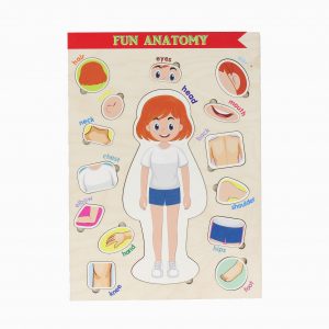 Anatomia corpului omenesc, partile corpului, sistem osos, biologie, puzzle, puzzle din lemn